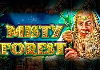 Misty Forest screenshot